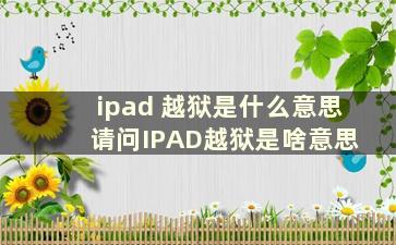 ipad 越狱是什么意思 请问IPAD越狱是啥意思